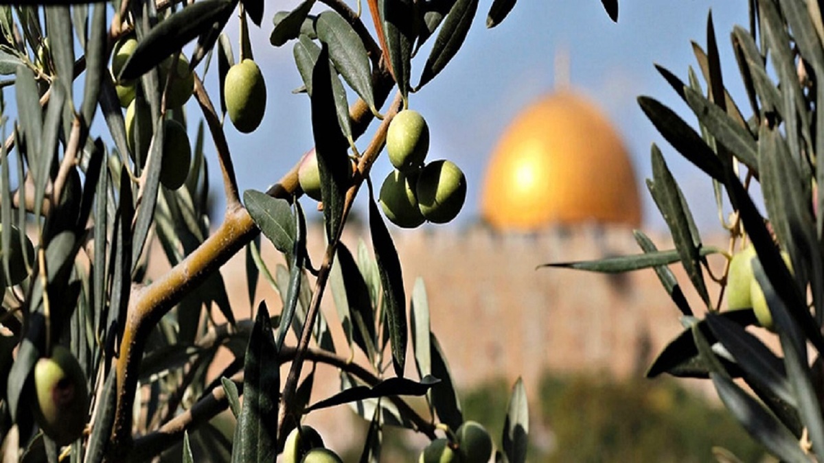 خداحافظی جانسوز کودک فلسطینی با برادر شهیدش + فیلم