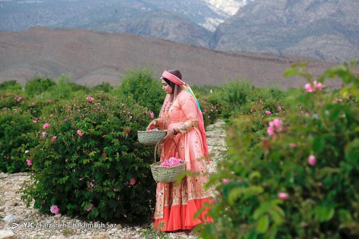 مزرعه نگین خورشید