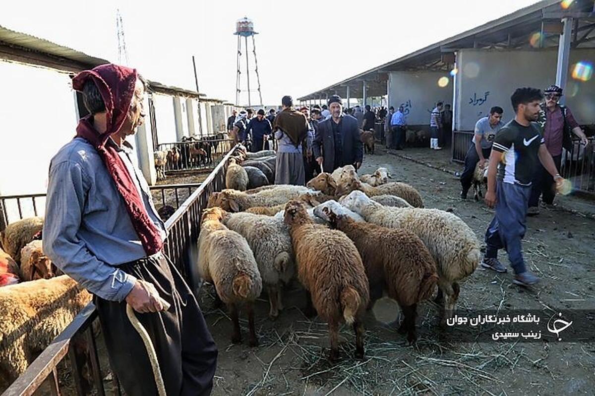 کارگاه‌های سفالگری در شهر جهانی لالجین همدان