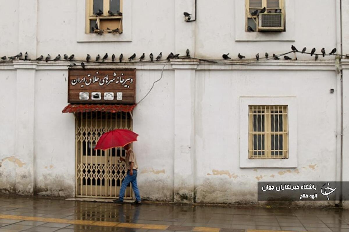 مسابقه ماهیگیری خانوادگی در رشت